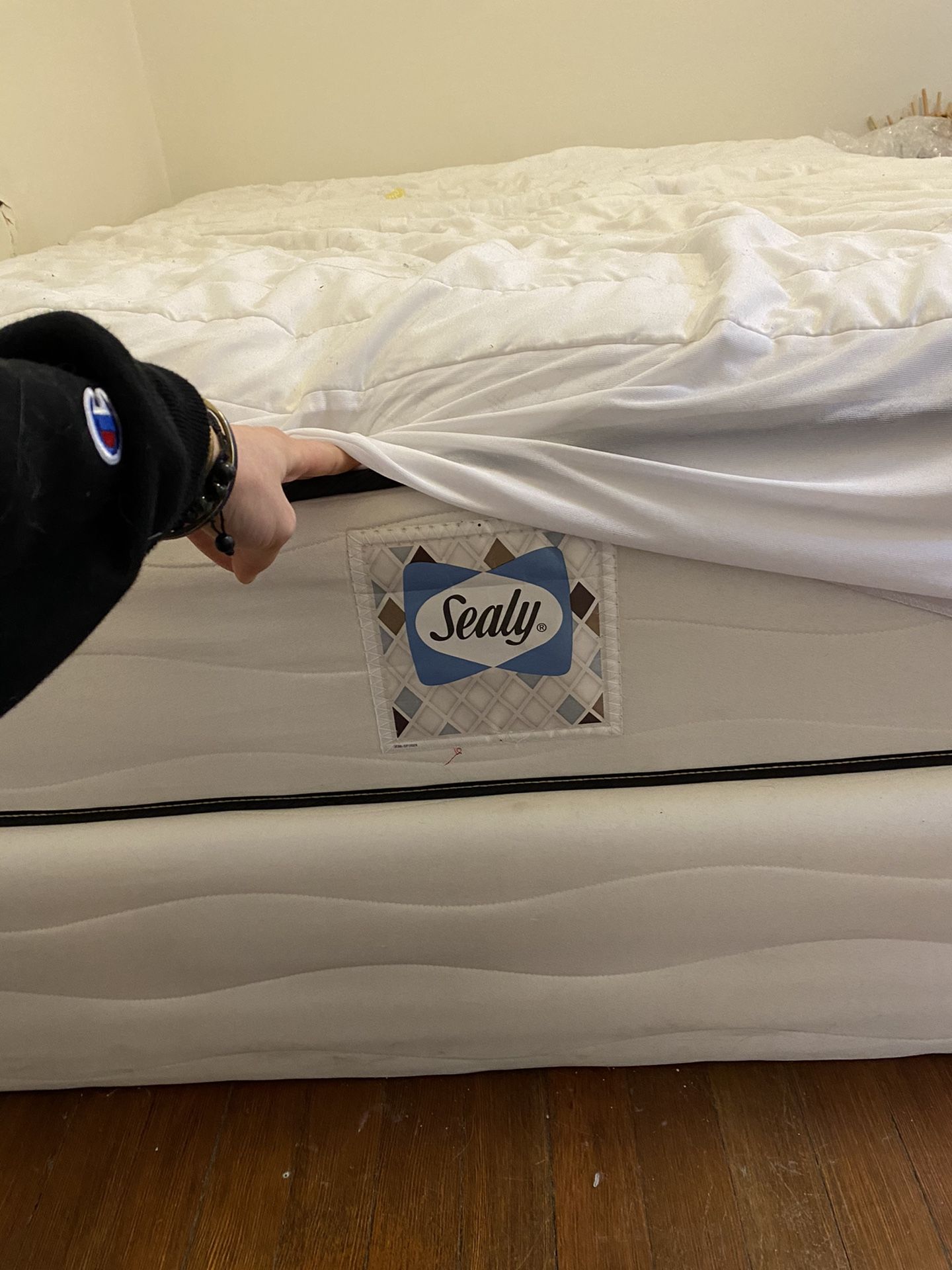 Queen Bed by Sealy