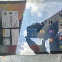iPad 