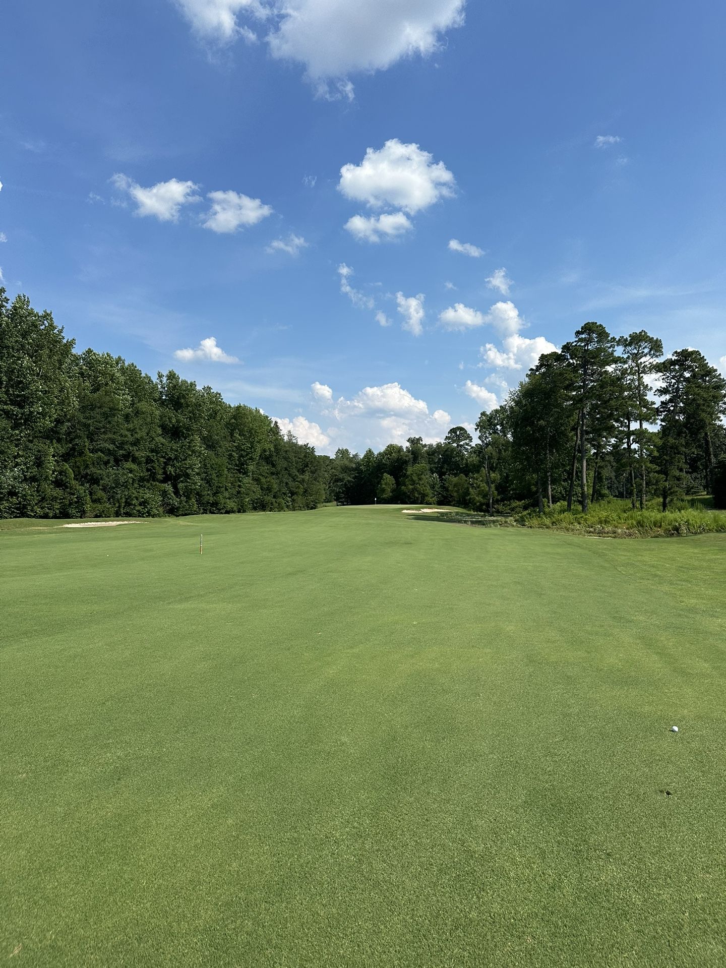 Golf Lessons In Mt Pleasant