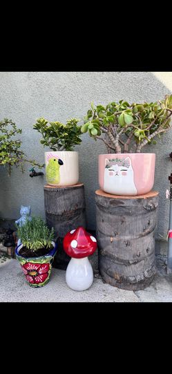 Beautiful  Plant Stands For Your Garden Decoration