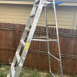 8 ft ladder 