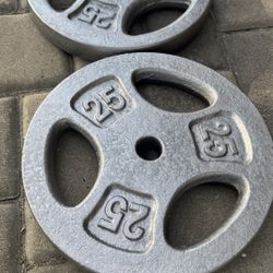 Pair Of 25 Pound Standard Weights