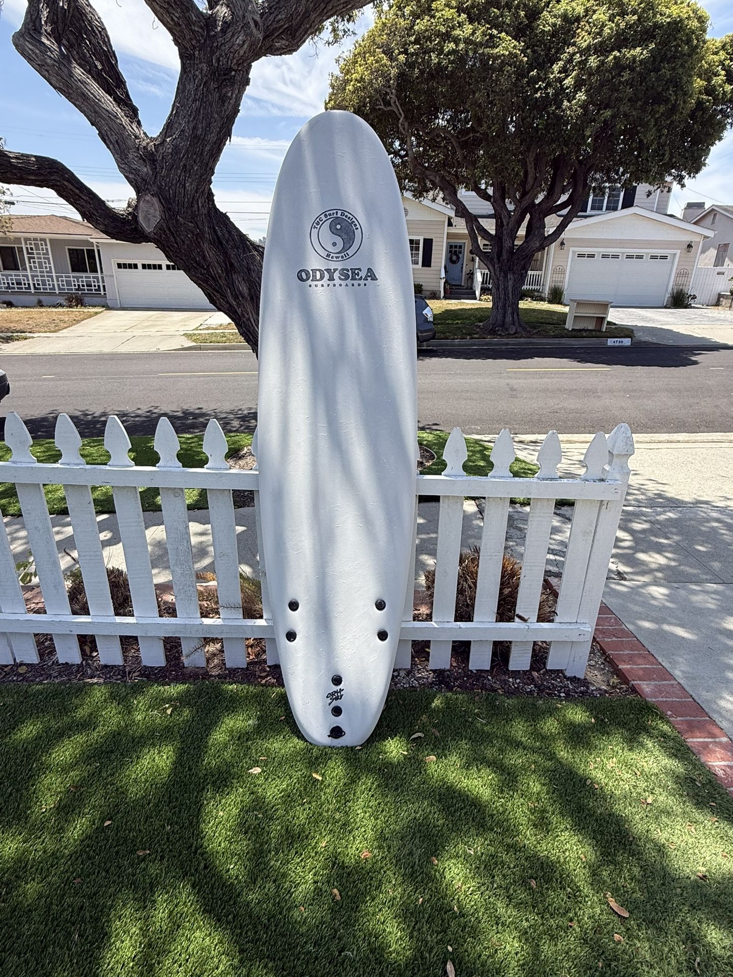 Catch Surf T&C Log Surfboard