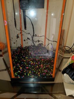 8 gallon fish tank
