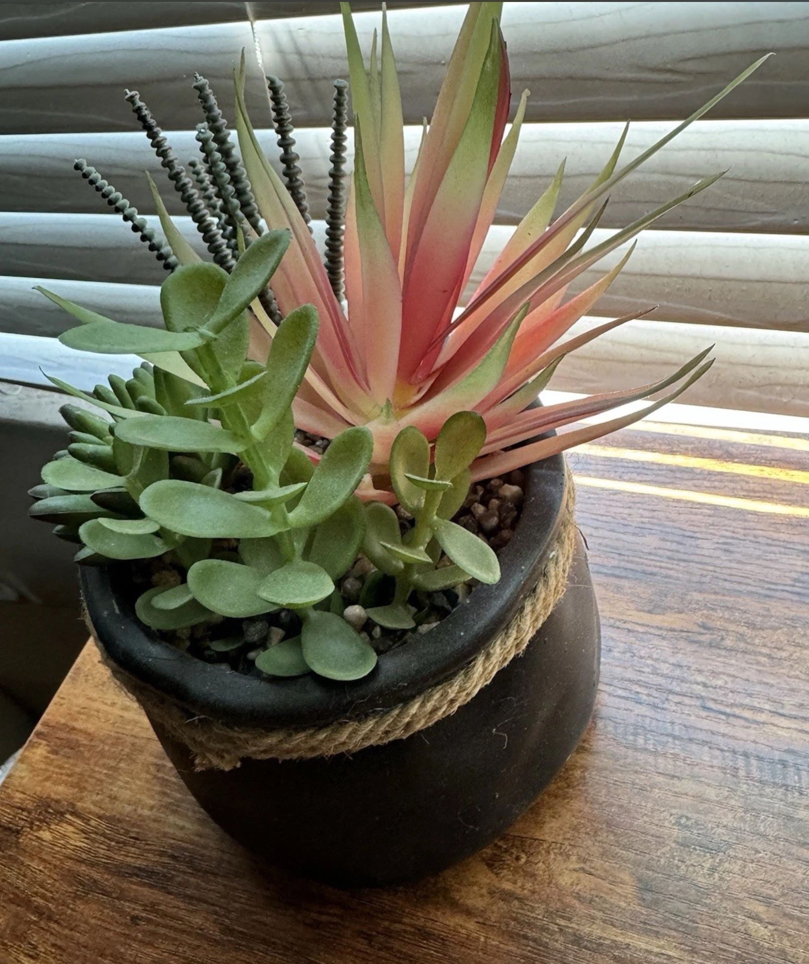 Artificial Succulent Plant Arrangement in Decorative Pot