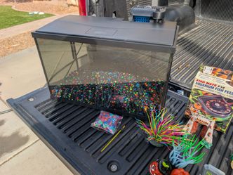 GloFish Aquarium and Supples