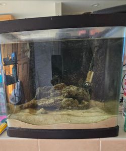 16 gallon biocube