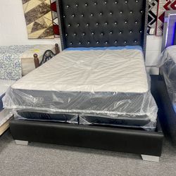 Queen Size Bed Frame $299