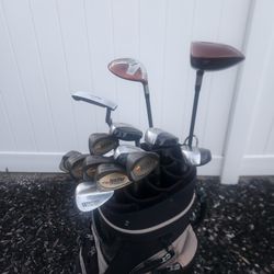 ⛳️ 14-Piece Golf Clubs Set-in-a-Bag