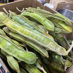 Organic fresh Guama, Piterna or Ice cream bean fruit