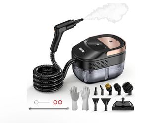 Steam cleaning system