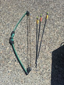 Bear  bow and arrow