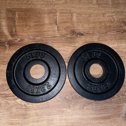 2 5lb weider international iron plates