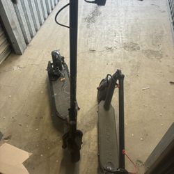 Electric Scooters 