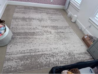 Wayfair Rug 8x11