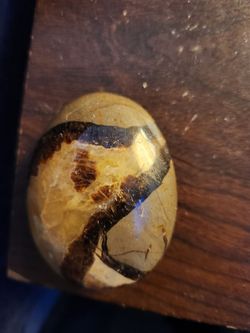 Septarian Palm Stone