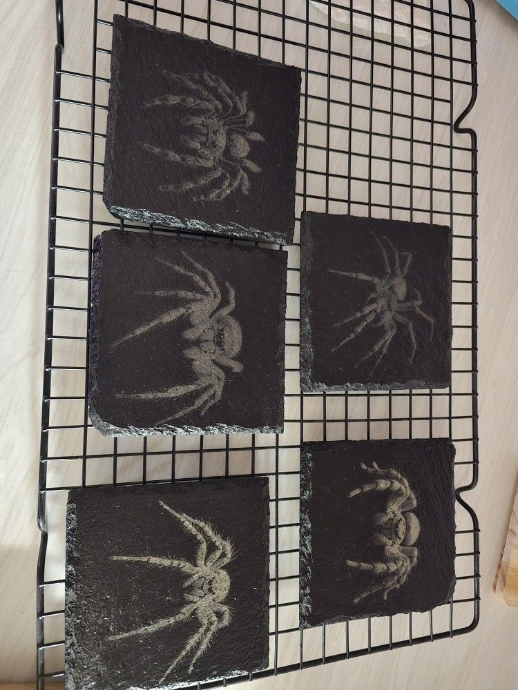 Engraved Slate Coasters Spider