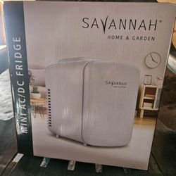 Portable Mini Fridge