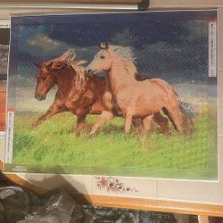 Giant Wild Horse Diamond Painting