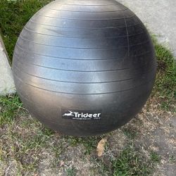 Trideer Exercise Ball