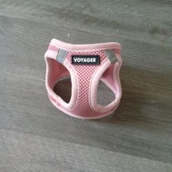 Voyager Harness 