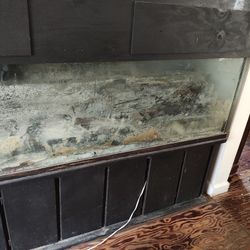 Fish Tanks 10 Of Them