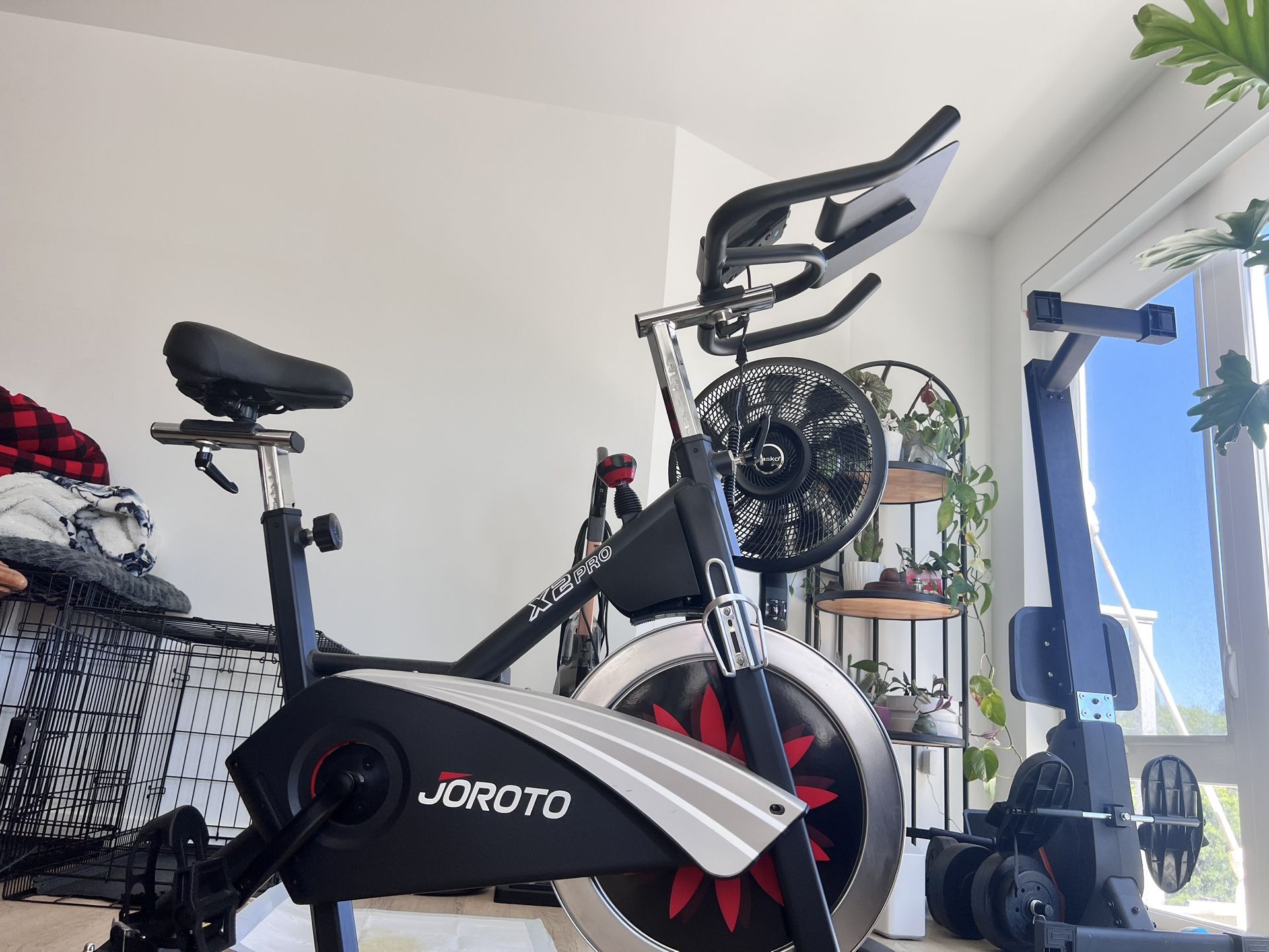 JOROTO Magnetic Exercise Bike