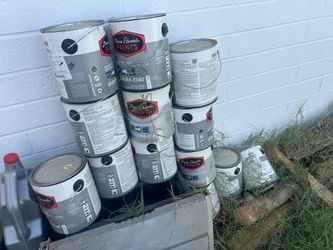 13 one gallon paint free