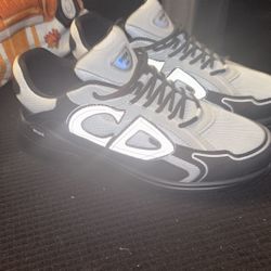 B30 Dior Men Shoe Size 11