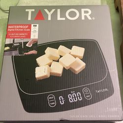 Taylor Kitchen Scale 