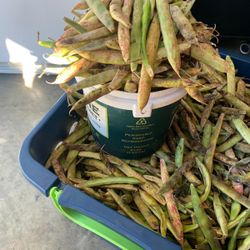 Beans Busket 10$ Port St Lucie 