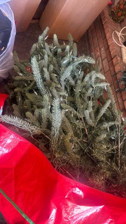 Free Christmas Tree 