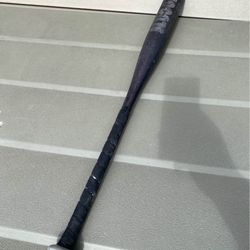 Slugger Youth Baseball Bat