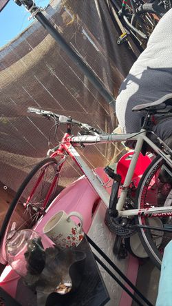 Schwin aluminum bike