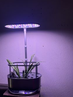Grow Light