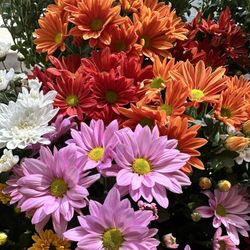 Beautiful Flowers For You All Colors 