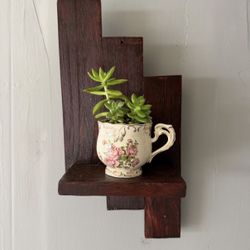wall shelf with succulents