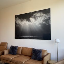 West Elm Leather Couch