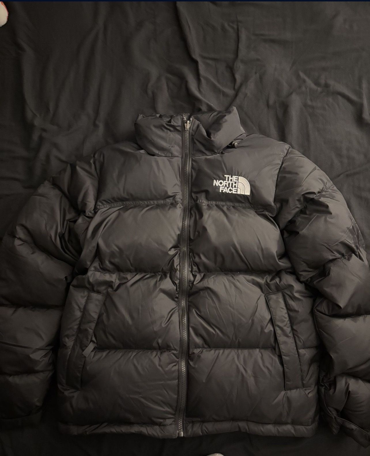 Large North face puffer jacket