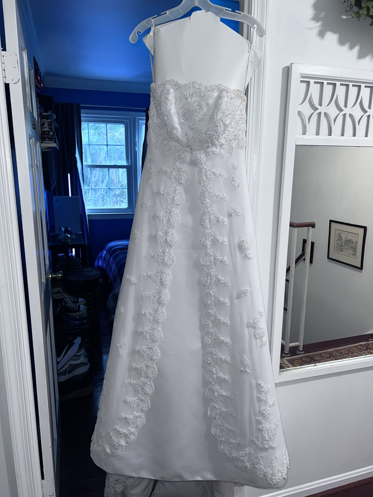 Wedding Dress (David’s Bridal Shower)