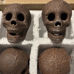 Skull