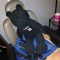 Dale Earnhardt Teddy