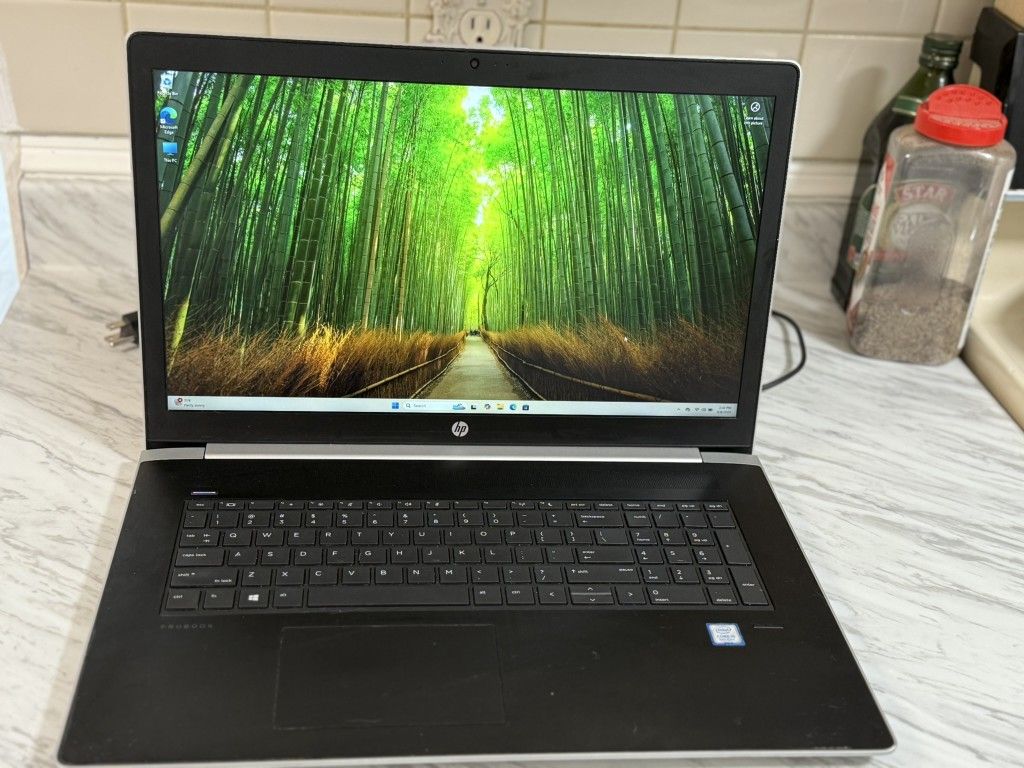 hp probook 470 g5 intel i5 at 1.60ghz 16gb ram 17.3-inch win 11