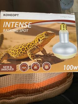 Reptile Heat Lamp