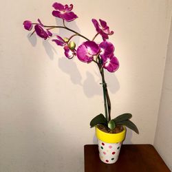 Potted Purple Orchid in Polka Dot Planter