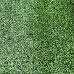 Synthetic Grass 