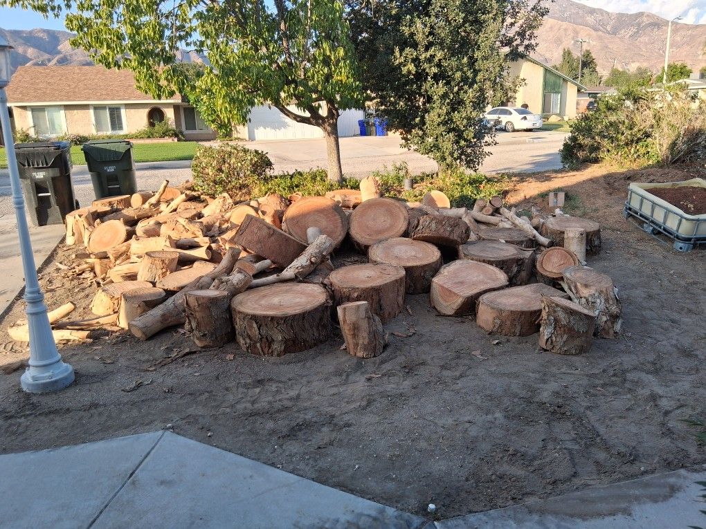 Free Firewood