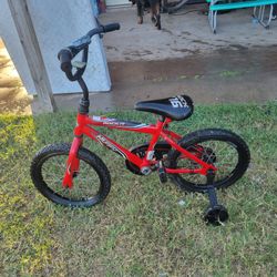 16 In. Bike