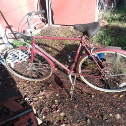 Rare 1985 Schwinn World Tourist 