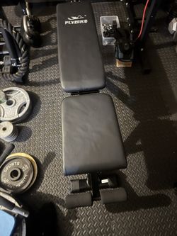 Assorted Workout Equipment